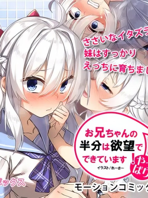 yappari o niichan no hanbun ha yokubou de dekiteimasu motion comic version poster